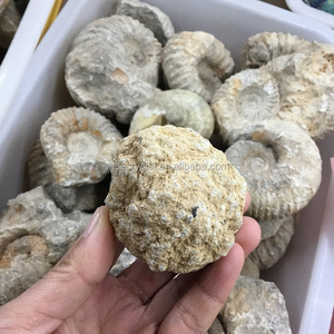 Commercio all'ingrosso di cristallo naturale di guarigione agete <span class=keywords><strong>geode</strong></span> Grezzi quarzo <span class=keywords><strong>geode</strong></span> - Product Image 6