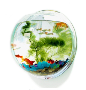 Aquarium mural en acrylique, réservoir pour poissons, fournitures pour animaux aquatiques, produits pour animaux de compagnie, aquarium mural pour poissons combattants - Product Image 1