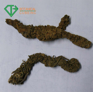 Venta caliente <span class=keywords><strong>Valeriana</strong></span> polvo <span class=keywords><strong>de</strong></span> extracto <span class=keywords><strong>de</strong></span> raíz <span class=keywords><strong>de</strong></span> con valeric acid - Product Image 4
