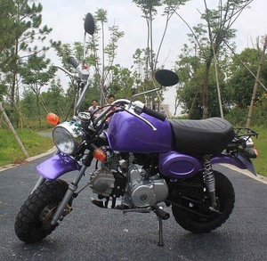 Hot <strong>Sale</strong> 110cc <strong>Monkey</strong> Motorcycle <strong>Bike</strong> Dirt <strong>Bike</strong> With CE - Product Image 5