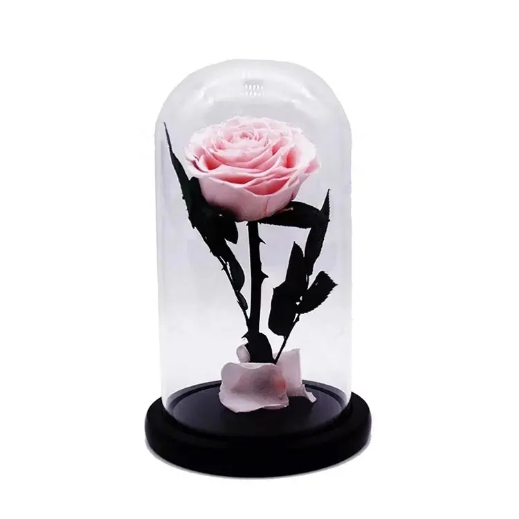 מפעל ישיר סיטונאי לנצח ורדים זכוכית כיפת השתמר ורדים פרחים