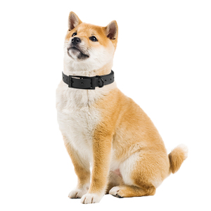 <span class=keywords><strong>Collar</strong></span> para perro de Material flexible y polivinílico, Ultra cómodo, impermeable, personalizado, de PVC suave - Product Image 3