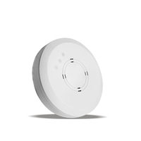 Punto DE ACCESO Wifi AP de techo inalámbrico de 300Mbps para grandes almacenes/comedor/aeropuerto/Estación de Autobuses/metro