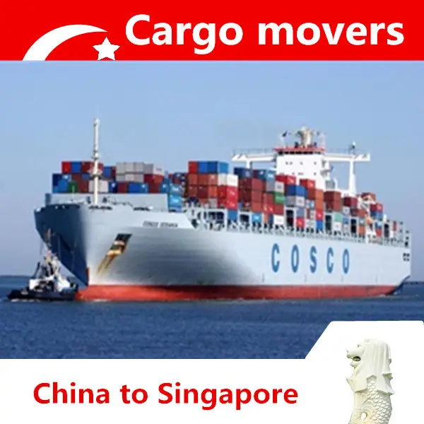 Internationalen seefracht container versand service, professionelle spediteur von Ningbo Nach Singapur