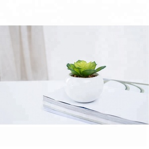 Directo de fábrica al por mayor hermosa fake decorativo <span class=keywords><strong>planta</strong></span> <span class=keywords><strong>suculenta</strong></span> en qué maceta de cerámica - Product Image 4