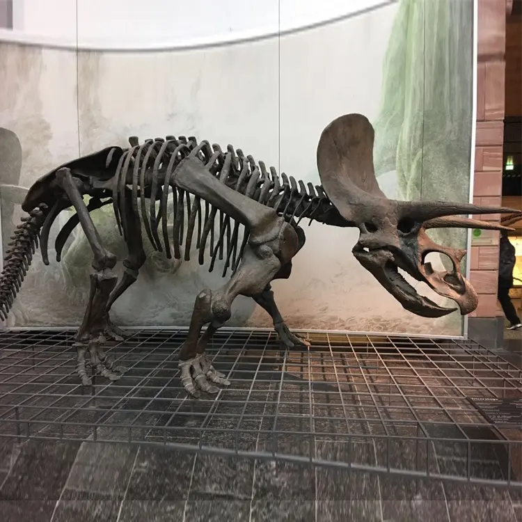 Estátua de osso de dinossauro em fibra de vidro, escultura de animais personalizada ao ar livre