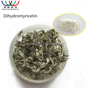 Suplemento Alimenticio Protector del Hígado <span class=keywords><strong>Myrica</strong></span> <span class=keywords><strong>Rubra</strong></span> (Lour.) Zucc. Extracto de Té de Vid DMY 98% Dihidromiricetina en Polvo - Product Image 1