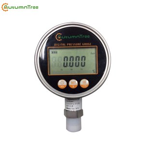 <strong>4</strong>"(100MM) Weatherproof Precisely Digital Gas <strong>Pressure</strong> <strong>Gauge</strong> - Product Image 2
