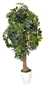 Luz Verde de La Venta Caliente Artificial decoración Pachir Árbol Árbol Decorativo Dinero Para de interior o al aire libre - Product Image 1