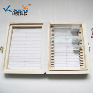 ウサギの舌 (味のつぼみを表示) sec. prepared顕微鏡スライド組織学スライド - Product Image 4