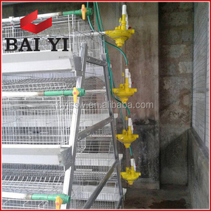 Tavuk kullanımı tavuk pil kafesleri cezayir'de - Product Image 2