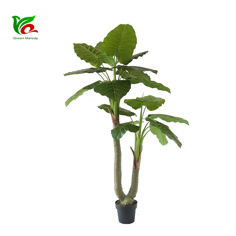 green and purple hanging plant Tradescantia Zebrina Violet hanging plant | 25 cm