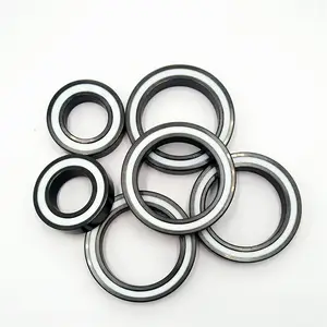 6902-2RS 61902 Full Ceramic Bearing with PFTE Cage 15x28x7mm Ball Bearing 6902 bearing