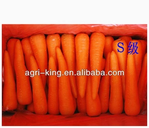 Cina Bulk <span class=keywords><strong>Fresh</strong></span> Carota Per Prezzo di Vendita - Product Image 5