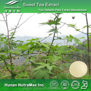 CGMP Pabrik Pasokan Manis Alami Ekstrak Daun Teh 70% 80% 85% Rubusoside dengan Baik Fragrance - Product Image 4