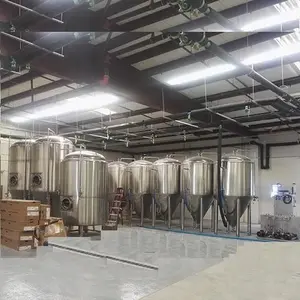 5HL automatic micro brewery for making beer with natural gas steam boiler