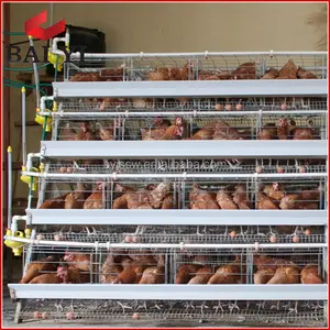 Volaille — maison à poulet faite pour Cage, accessoire pour animaux