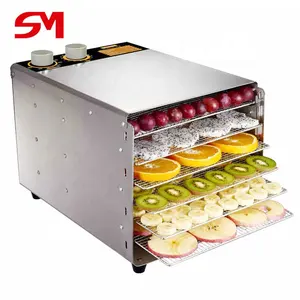 Advanced thermal stable mango drying machine