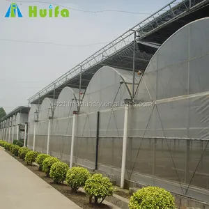 Professional design intelligent automatic cultivation plastic film greenhouse