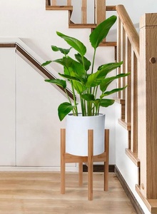 Supporto per Piante da Interno, Regolabile in Bambù, per Piante da 20-30 cm, Stile Mid-Century - Product Image 3