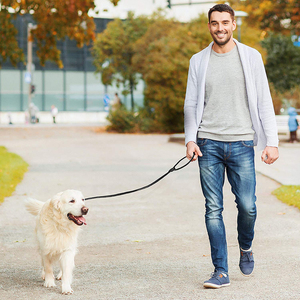Guinzaglio Retriever per cani guinzaglio leader-consigliato da scarpe da ginnastica con Zugstopp - 170cm di lunghezza-Black muslimah 1.0*170cm 7 giorni - Product Image 5