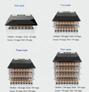 Incubadora de huevos de gallina, 110V, 220V, doble potencia, 12V