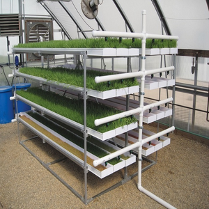 Skyplant Hydroponic Fodder Profeed Growing System Vertical hydroponic growing systems