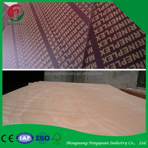 Productos más vendidos precios arce contrachapado revestido de film para la fabricación de muebles o la construcción - Product Image 6