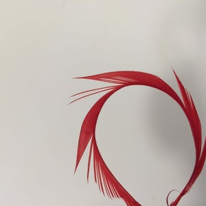 Vente en gros plumes d'oie rayées <span class=keywords><strong>Biot</strong></span> à <span class=keywords><strong>vendre</strong></span> pas cher - Product Image 6