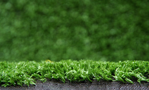 Herbe <span class=keywords><strong>synthétique</strong></span> courte de 10mm bon marché légère pour le jardin - Product Image 5