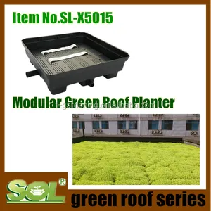 tetti verdi per la salute città tetto verde in giardino sul tetto