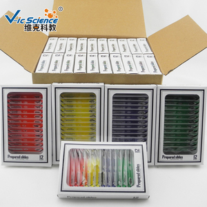 Enfants En Plastique <span class=keywords><strong>Microscope</strong></span> Préparé Des Diapositives pour Biologie Diapositives Couleur - Product Image 5