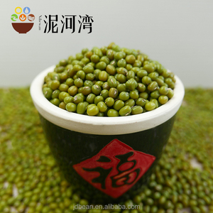 Germer / germination de haricots <span class=keywords><strong>mungo</strong></span> verts - Product Image 1