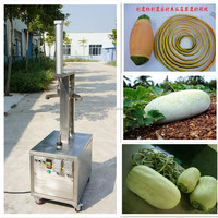 Industriële Commerciële Elektrische Pompoenschiller Meloenschilmachine Pompoenschilmachine