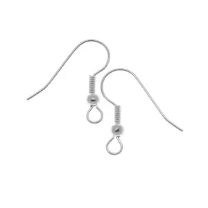 Earring Hooks Ear Wires French Hooks Stainless Steel Fishhooks with Storage Case for DIY Jewelry Making