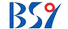 Shandong BSY Group Co., Ltd. logo