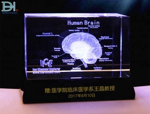 Zihin Beyin 3D Yapı 3D Lazer Gravür Kristal Blok - Product Image 6