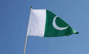 100% Polyester Pakistan Quốc Gia Tay Cờ 14x21cm Biểu Tượng Tùy Chỉnh Thế Giới Cờ Mô Hình Làm Từ Lụa Và Nhựa Bannera - Product Image 2