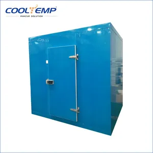 Customized Fruit And Vegetable Banana Ripening Cold Storage Room