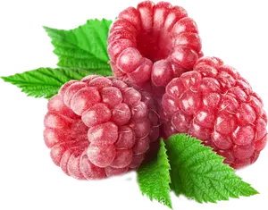 Essence naturelle de parfum de Raspberry rouge