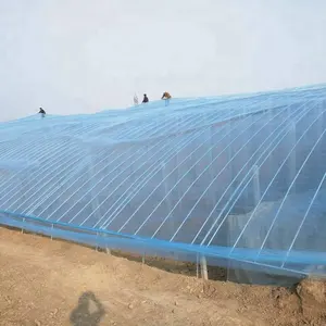 Film plastique de haute qualité en PVC, 2 m, revêtement pour plantes agricoles, légumes