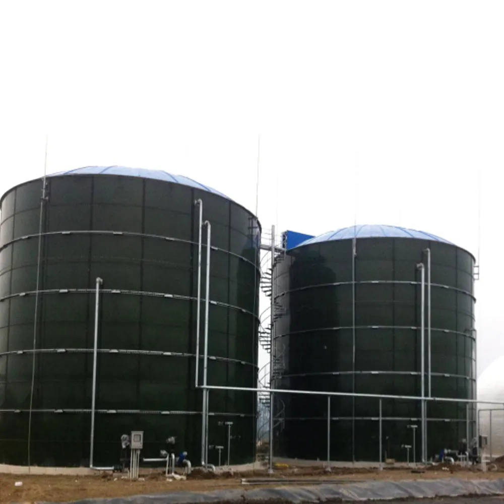 Teenwin biogas planta de resíduos animais máquina de fazer biogas
