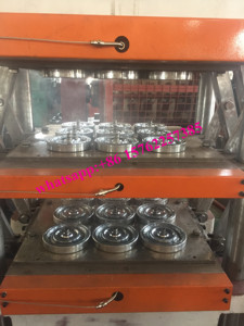 12 ''Eva-Wielschuimpersmachine In Kalkoen/Eva-Bandenmachine En Mallen In Algerije - Product Image 5