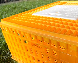 100%PE new material live chicken/broiler transport crates heavy duty