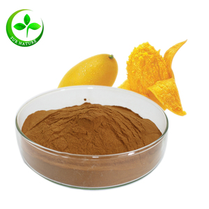 100% المانجو الأفريقية الطبيعية مسحوق مستخلص بذور - Product Image 2