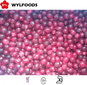 Wholesale Price for Frozen Cranberry with high Quality