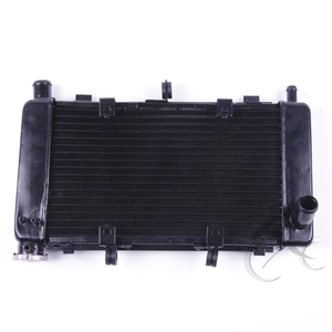 Radiador de Enfriamiento del refrigerador para <span class=keywords><strong>Yamaha</strong></span> FZ600 FZ6 FZ6N FZ6S 2004-2010 05 06 07 08 09 - Product Image 2