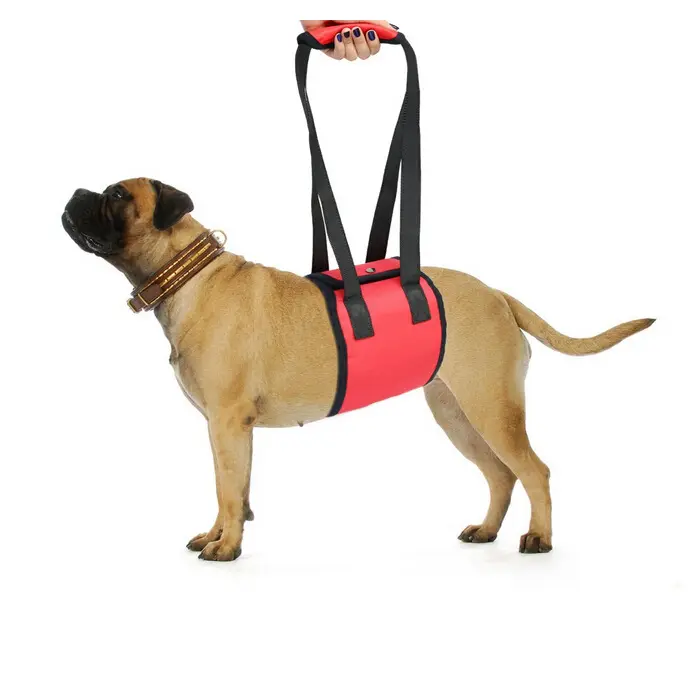 Dog Lift Support Harness with Sling Rehabilitation Harness for Canines Aid