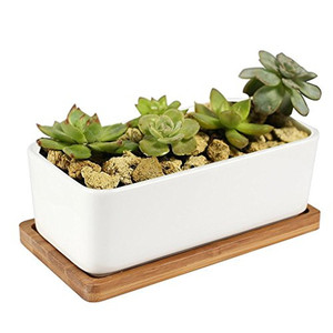 Planteur <span class=keywords><strong>blanc</strong></span> en céramique pour décoration de jardin, Pot de <span class=keywords><strong>fleurs</strong></span> plantes avec Cactus en céramique, avec plateau en bambou (<span class=keywords><strong>rectangulaire</strong></span>), offre spéciale - Product Image 2