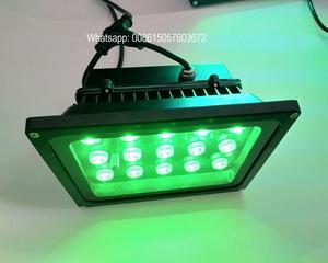 24V DC 50 Wát <span class=keywords><strong>Wifi</strong></span>/<span class=keywords><strong>DMX</strong></span>/RF điều khiển từ xa RGB Led Đèn Pha - Product Image 2